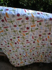 Back of the Whole Cloth Quilt