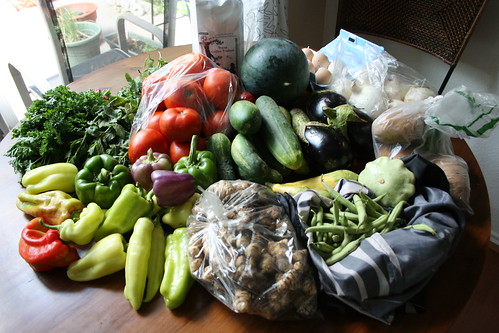 CSA delivery #5