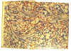 Marbled endpapers in Michael Scotus: Liber physiognomiae
