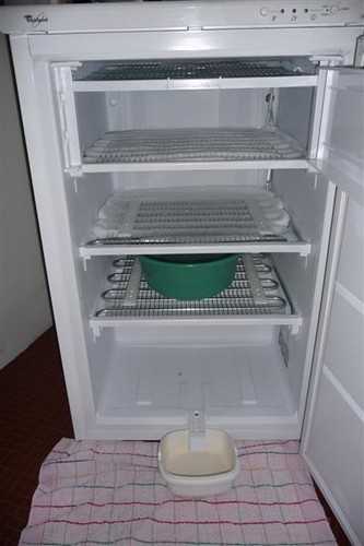 congelateur (1)