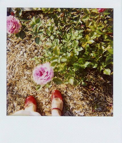 pinkrose and redshoes