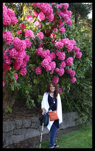 Portland Intnl Rose Garden, Memorial Day Weekend