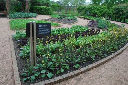 Backyard Garden, Chicago Botanic Garden