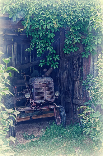 Old tractor at Wollam Gardens... fun with HDR and vintage effect...