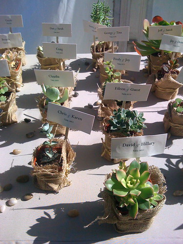 table markers Wedding favors should be useful as well as coordinate with