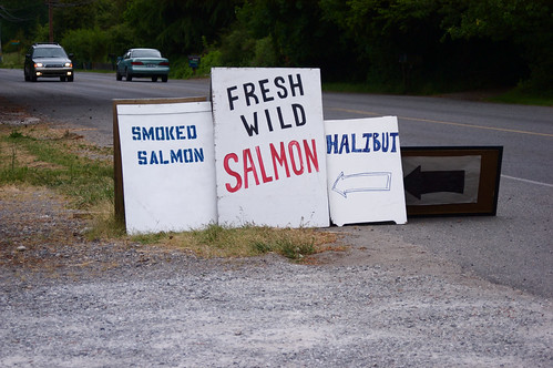 salmon on the side of the road