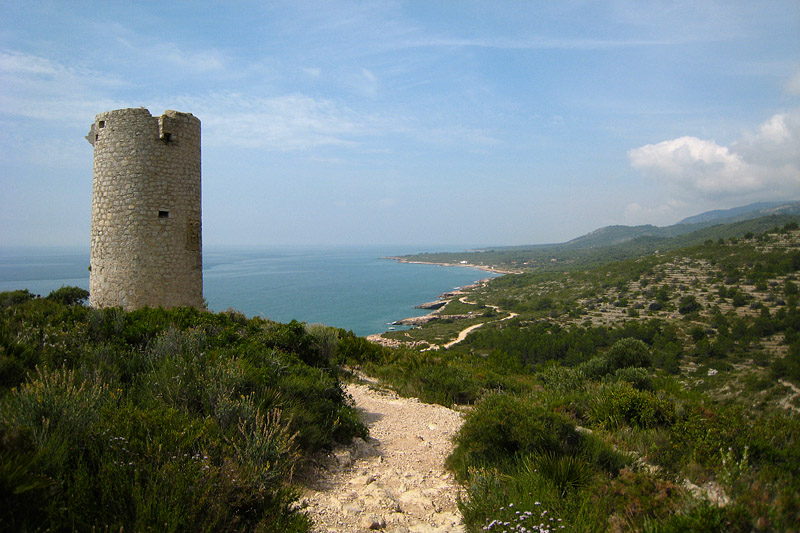 Torre Badum