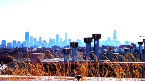 (100E4557) Winter Chicago Skyline (e)