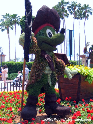 IMG_4270-Pirate-Mickey-Mouse-topiary