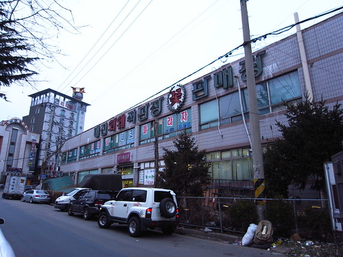 대전 꽃 화훼 판매장 