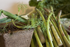 CSA Week 2 Supplies - Dill and Asparagus