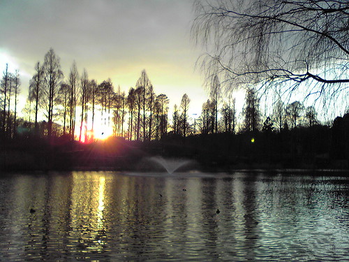 Sunset at Inokashira Pond 2