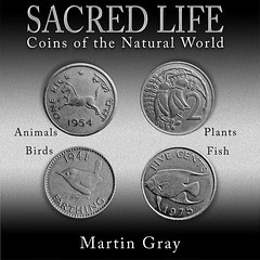 Gray Sacred Life
