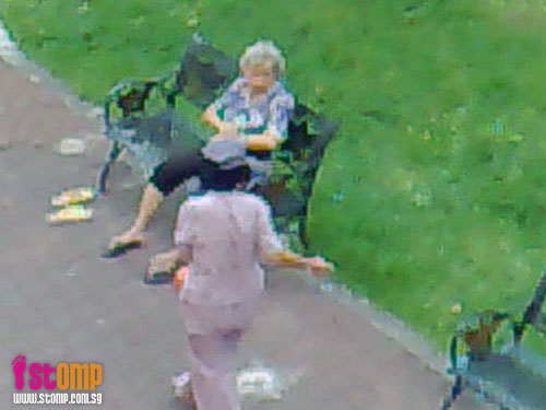 Old woman feeds pigeons and crows illegally in park, chases student away