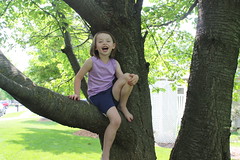 Allie in the Tree