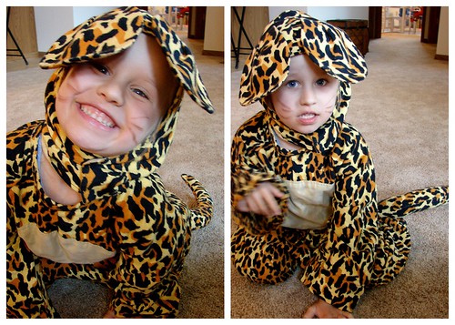 Leopard Zoey