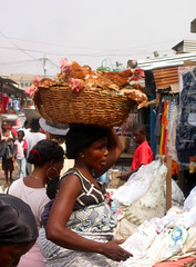 KumasiMarketChickens (Y Mucho Mas) Tags: africa chickens shopping market markets mercado ghana westafrica kumasi kejetia