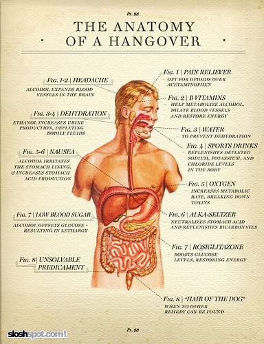 Anatomy of a Hangover