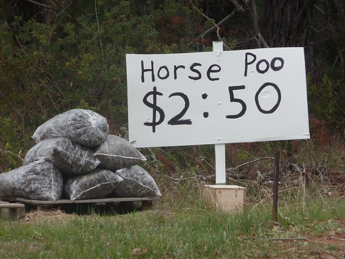 Horse Poo Anyone?
