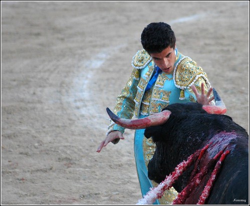 El toreo en España