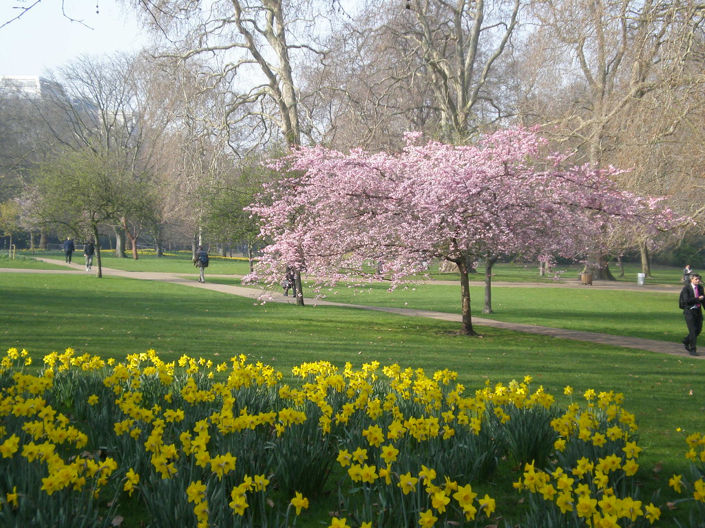 London,
                  Saint James' park