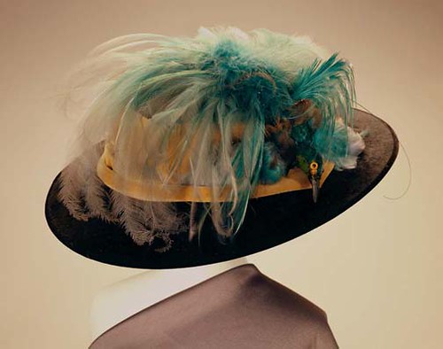 Hat with Bird of Paradise, ca. 1900 by Missouri History Museum.