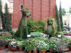 lady and the tramp topiaries