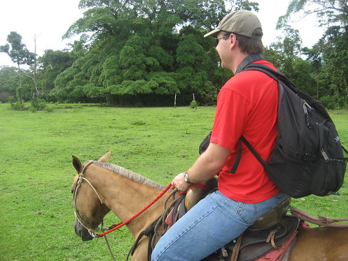 The Professor on his horse on the way to the waterfall