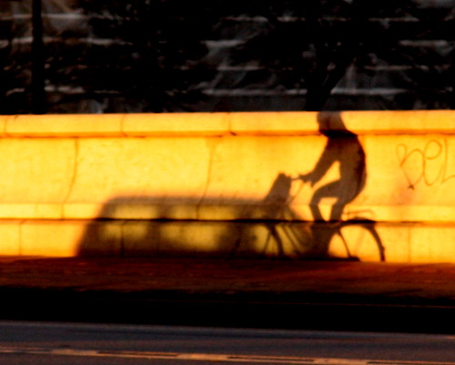 Cyclist Shadow