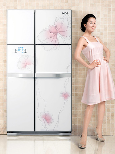 하상림 작가의 꽃 디자인이 적용된 냉장고와 김희애