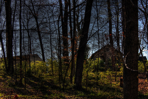 House In The Woods