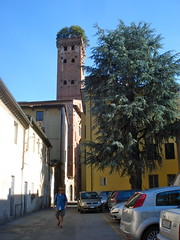 Lucca - Torre Guinigi - 12