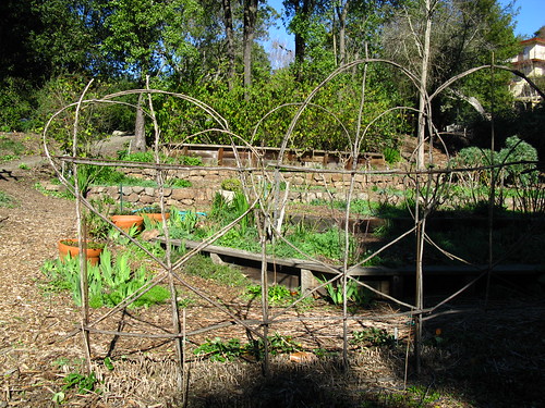 Vegetable garden structure