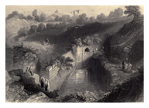 004-Piscina de Siloé-Bartlett, W. H. 1840-1850