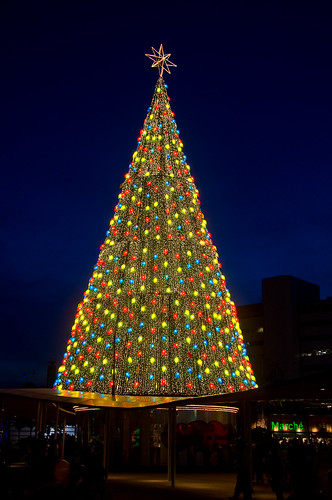 Christmas Tree at Vivo-001