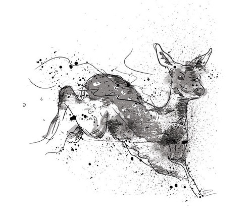 Doe Deer Drawing. Deer Drawings by Paul Laberge