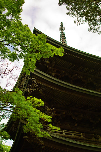 信濃国分寺　三重塔 shinano-kokubunji temple