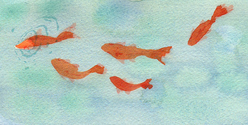 Goldfish in water
