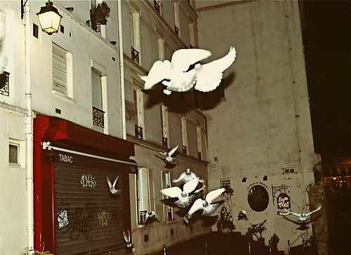 Париж и голуби