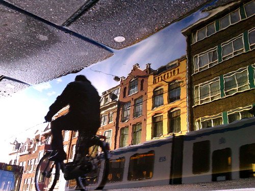 Reflections Of Amsterdam - Fight Or Flight