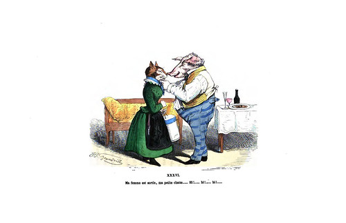 011-Les métamorphoses du jour (1869)-J.J Grandville