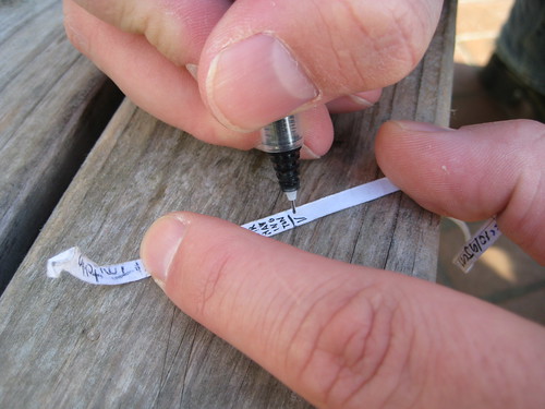 Signing the Cache