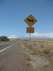 The road to Waikoloa Village