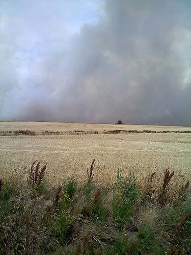 A combine rushes around a fire cutting wheat as it goes