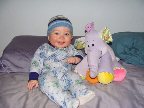 Silas and his elephant