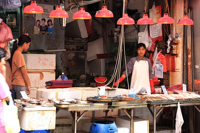 Hong Kong - Market Scene - Fish Seller