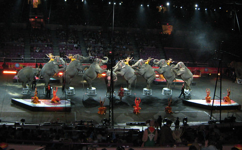 Elephants at Madison Square Garden