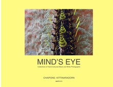 Mind's Eye Book