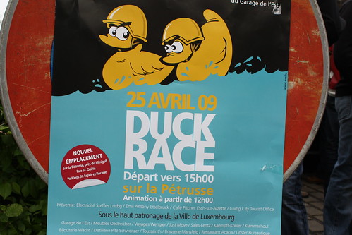 Duck Race 2009
