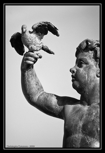L'oiseau et l'enfant / The bird and the Child